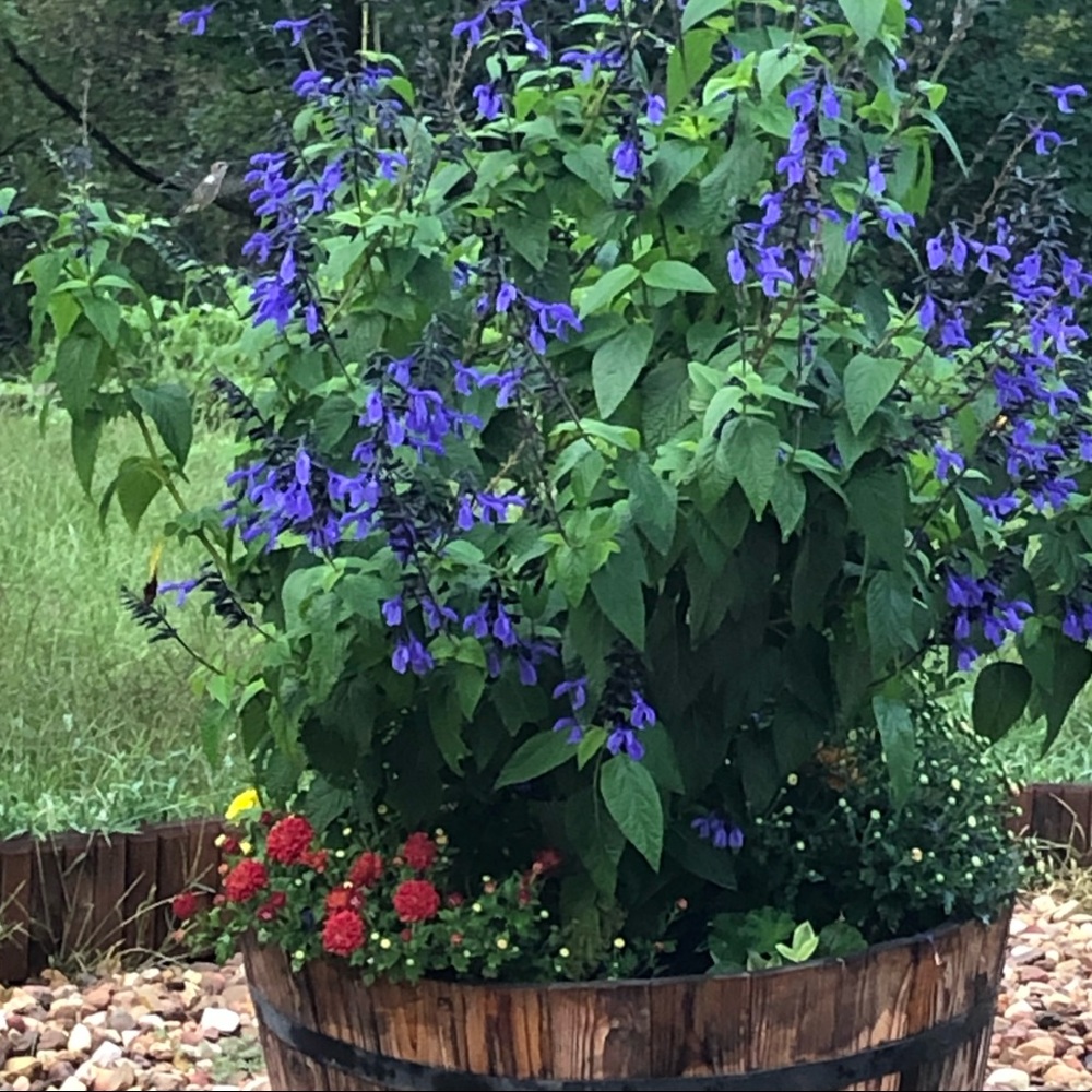 Meet your Posher, Korie